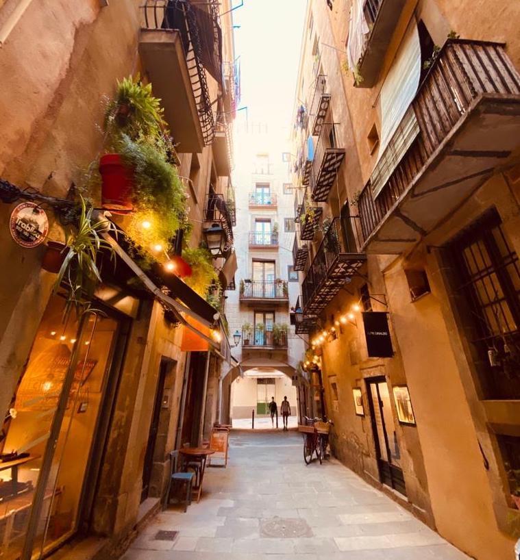 el-born-alley-in-barcelona