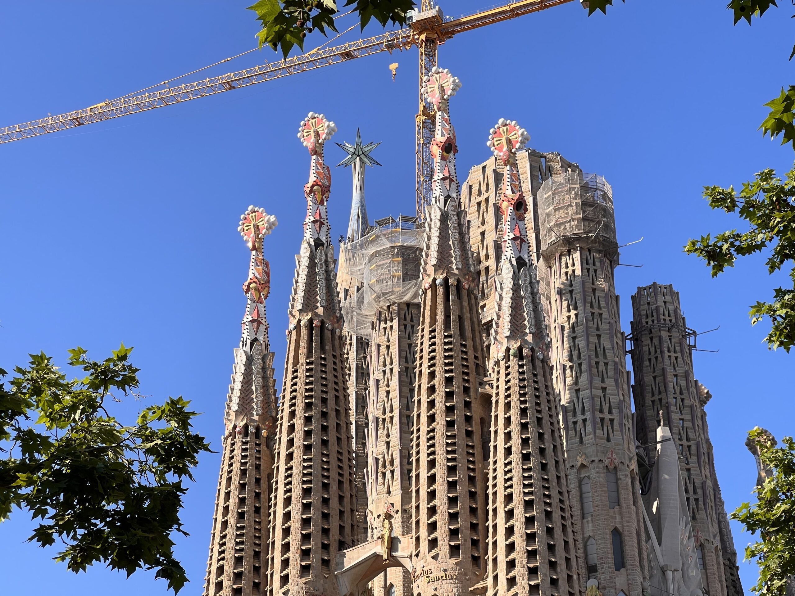 sagrada-familia-tour-the-touring-pandas-detail-towers-copia