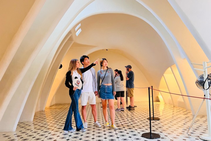 a person standing on a beach