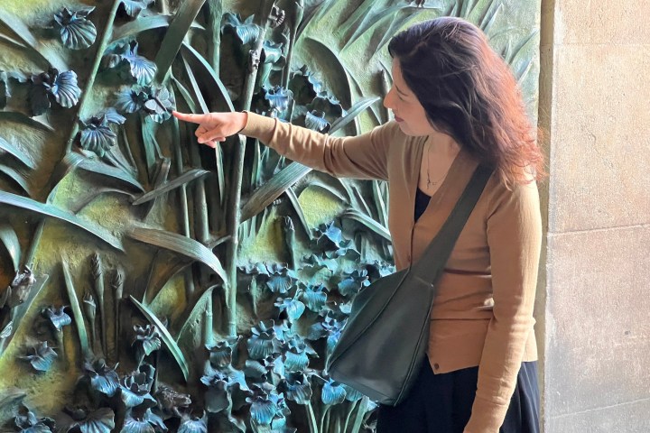 a person looking at the camera