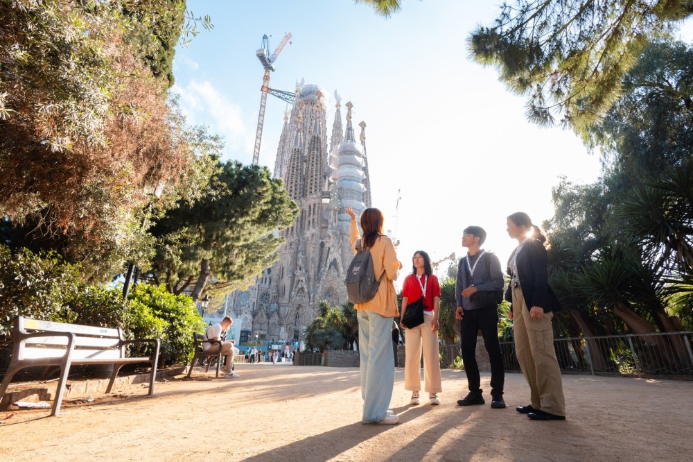 Group of people talking with a large cathedral and trees in the background on a sunny day.