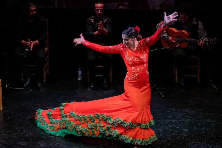 a person wearing a costume