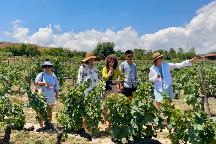 a group of people visiting a vineyard