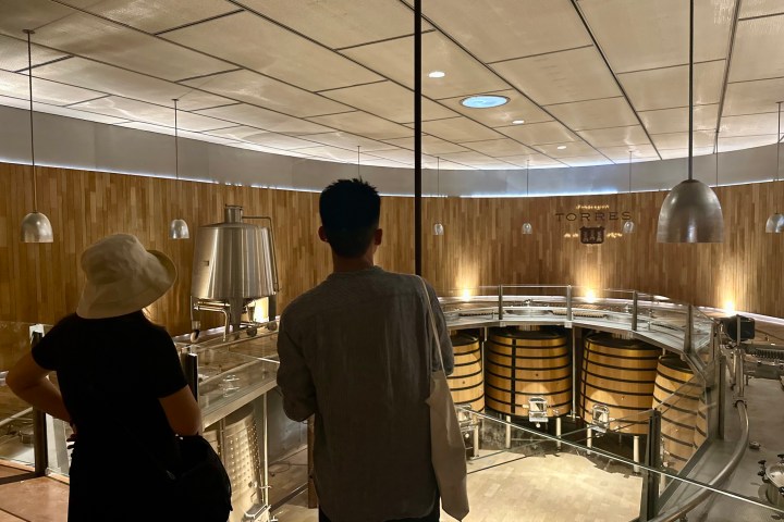 a group of people standing in a room with big wine barrels