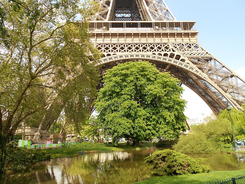 Eiffel Tower's Champ de Mars