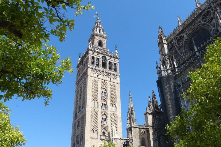 Seville Gothic cathedral tower against blue sky, framed by green trees.