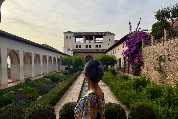 Person gazing at a historic building with gardens and purple flowers.